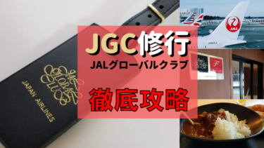 【JGC修行】徹底攻略2023 メリット、費用、ルート、おすすめJALカードも解説！